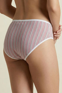 Zivame Medium Rise Full Coverage Hipster Panty (Pack of 3) - Multicolor — thumbnail 12